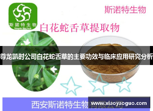 尊龙凯时公司白花蛇舌草的主要功效与临床应用研究分析