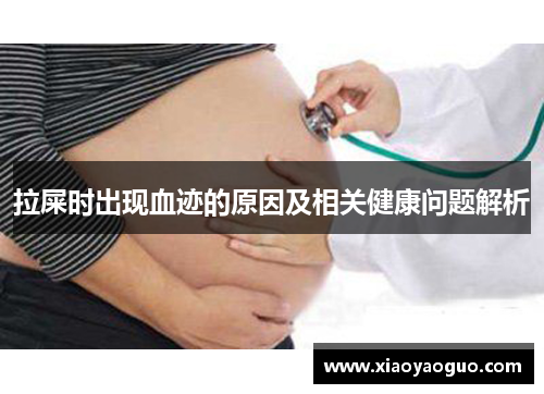 拉屎时出现血迹的原因及相关健康问题解析