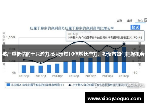 被严重低估的十只潜力股揭示其10倍增长潜力，投资者如何把握机会