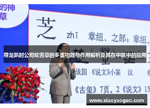 尊龙凯时公司蛇舌草的多重功效与作用解析及其在中医中的应用